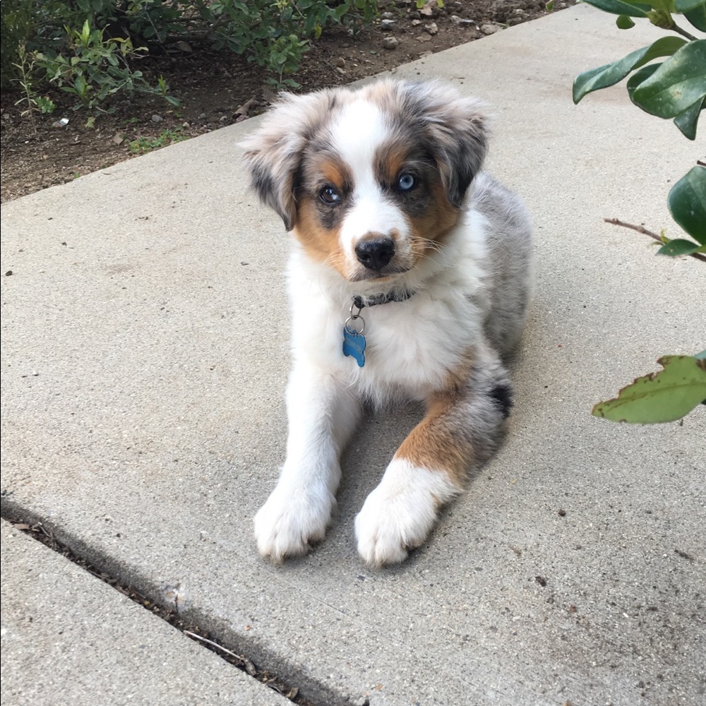 Meet your Posher, Patrice